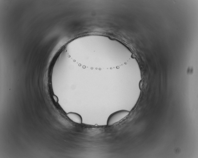 X0000101420102200808041137