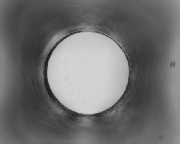 X0000101420103200808041137