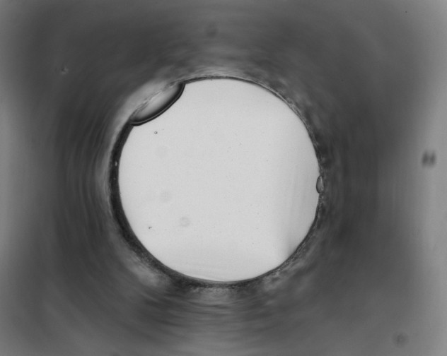 X0000101420104200808041137