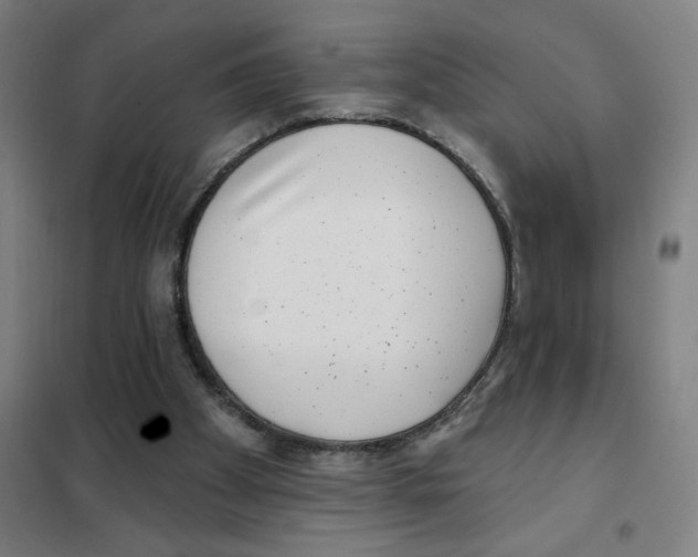 X0000101420105200808041137