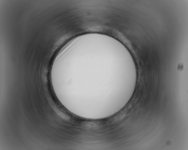 X0000101420106200808041137