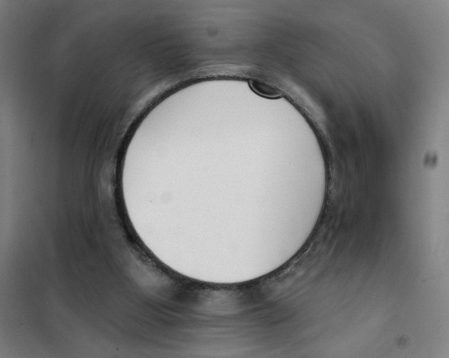 X0000101420107200808041137