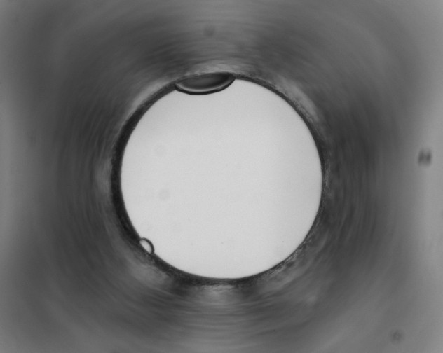 X0000101420108200808041137