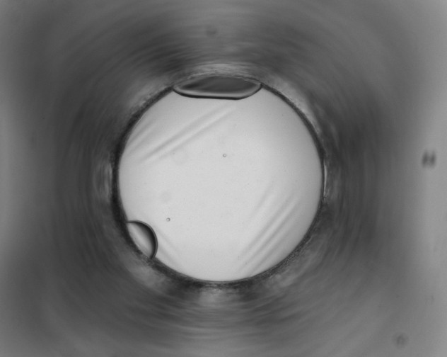 X0000101420109200808041137
