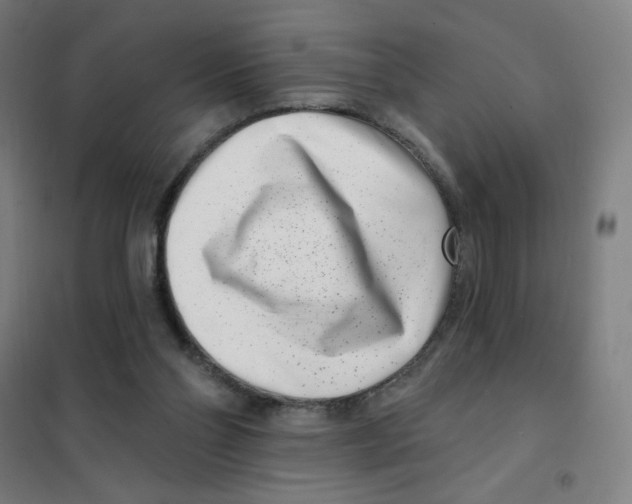 X0000101420110200808041137