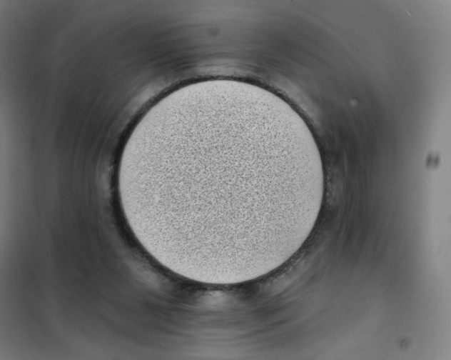 X0000101420111200808041137