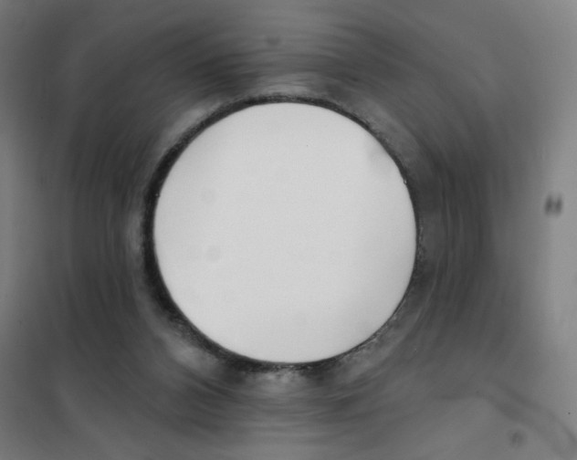 X0000101420112200808041137