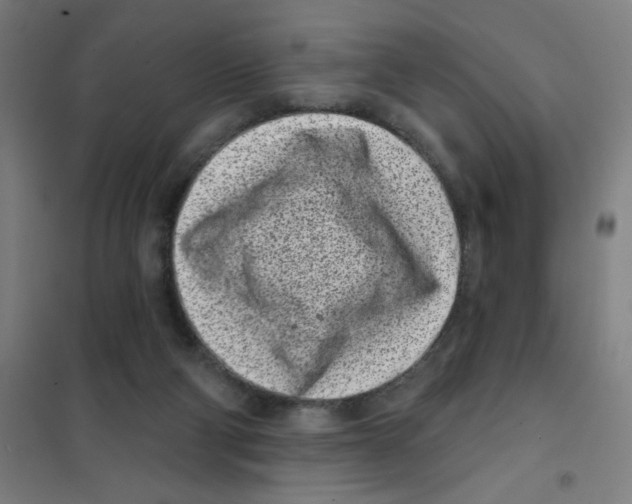 X0000101420114200808041137