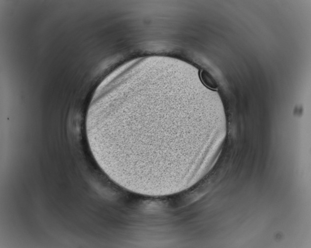 X0000101420115200808041137