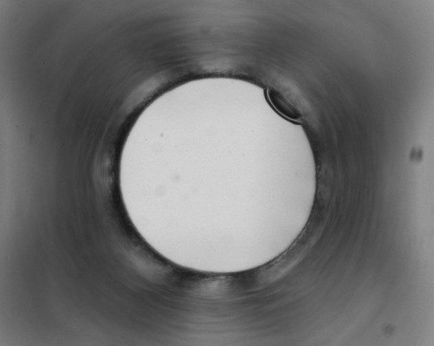 X0000101420116200808041137