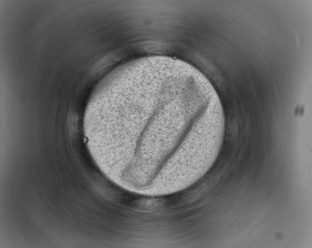 X0000101420117200808041137