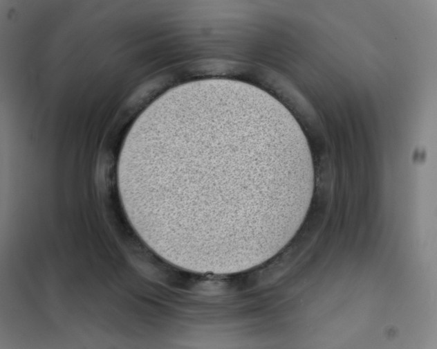 X0000101420119200808041137