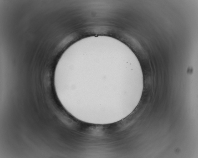 X0000101420120200808041137