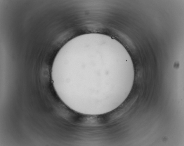 X0000101420121200808041137