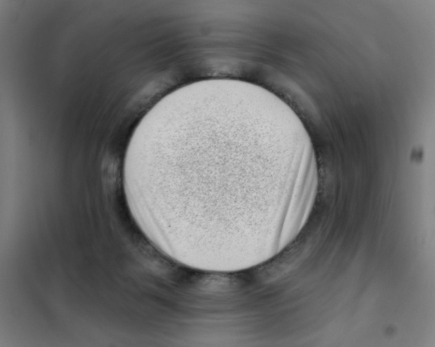 X0000101420123200808041137
