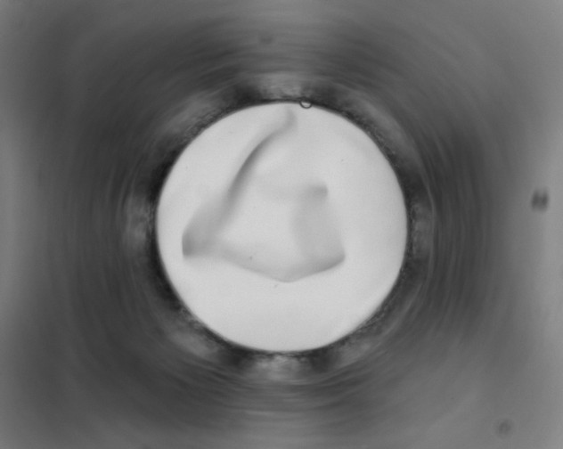 X0000101420125200808041137