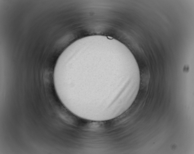 X0000101420126200808041137