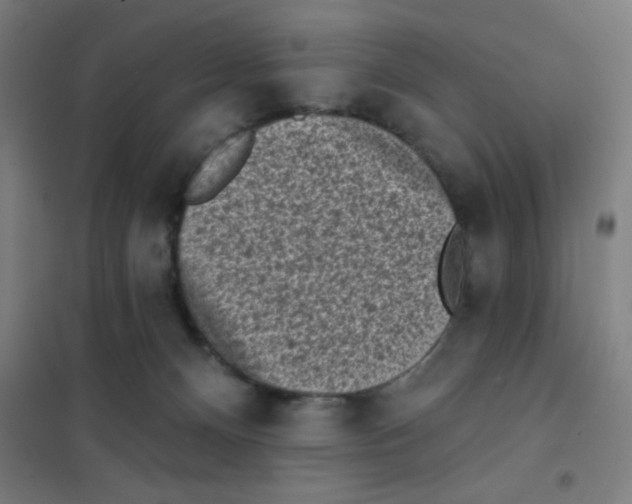 X0000101420128200808041137