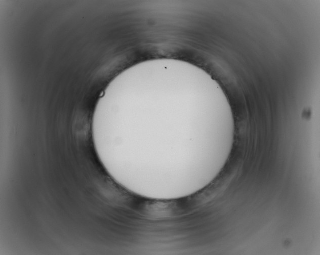 X0000101420129200808041137