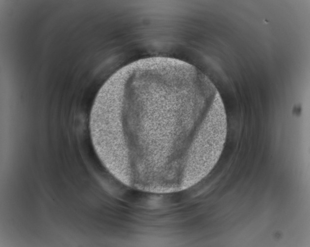 X0000101420130200808041137
