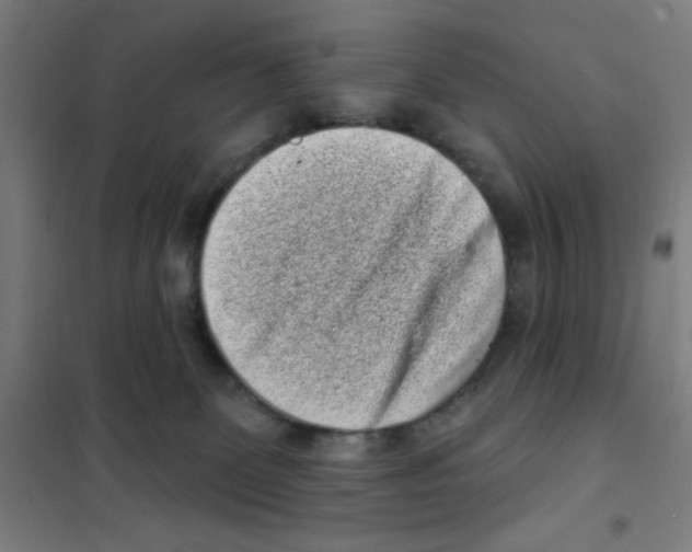 X0000101420131200808041137