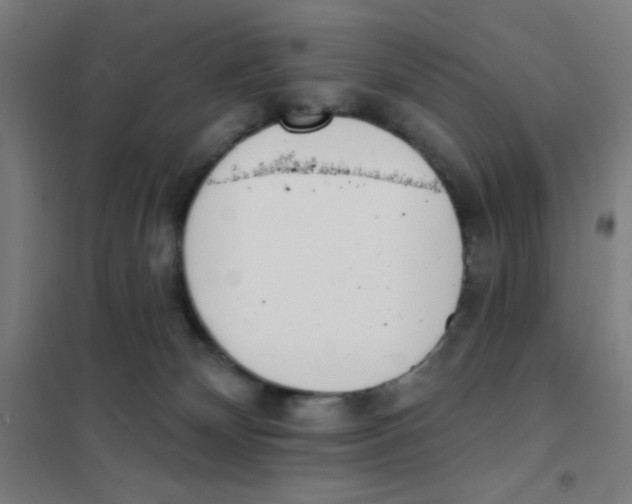 X0000101420132200808041137