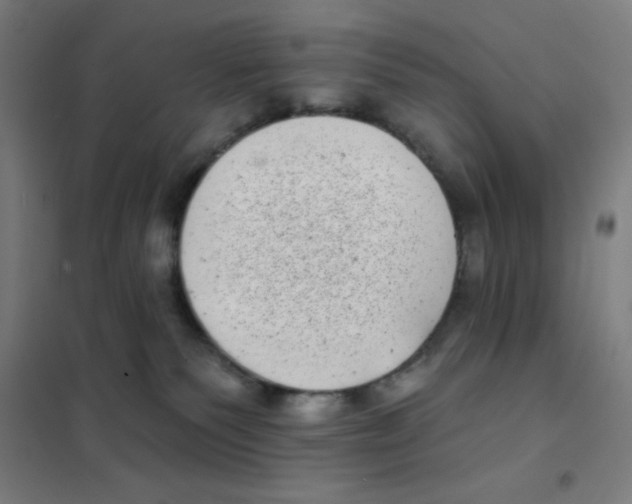 X0000101420135200808041137