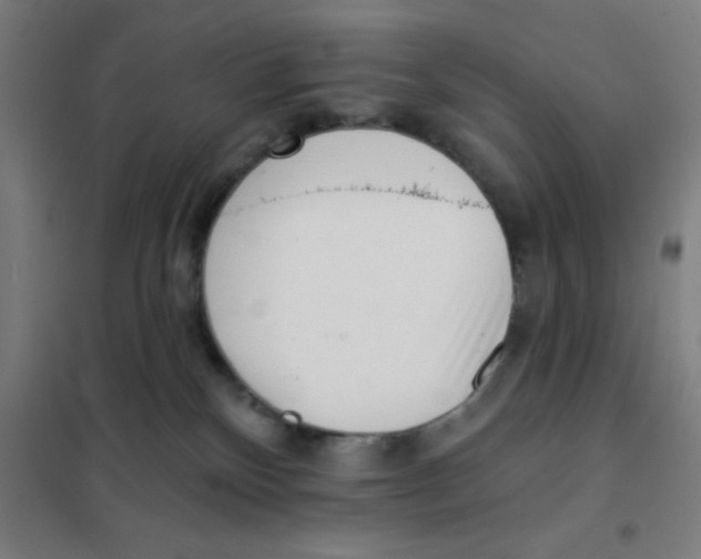 X0000101420136200808041137