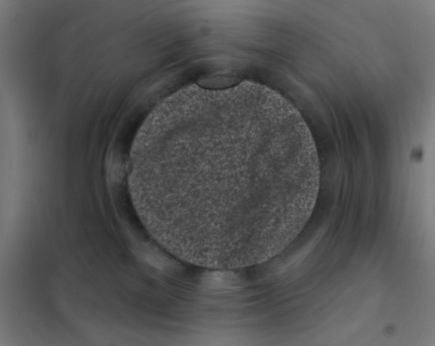 X0000101420137200808041137