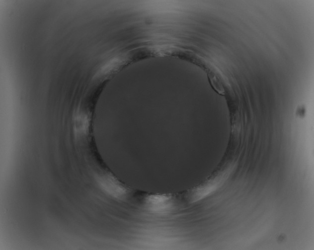 X0000101420139200808041137