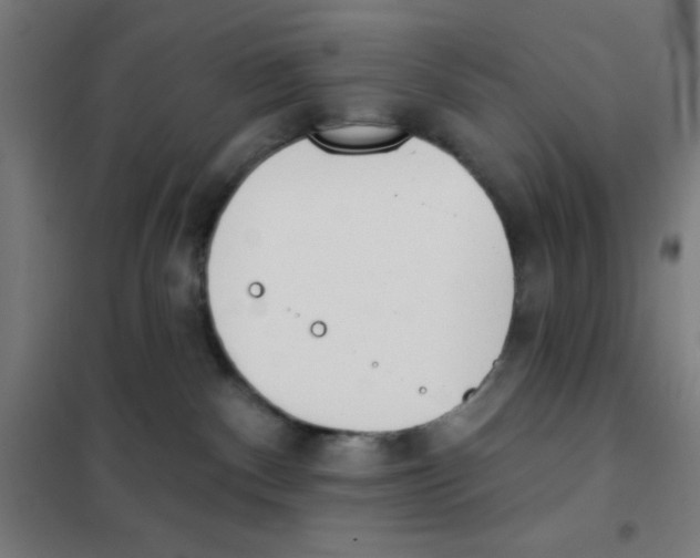 X0000101420140200808041137