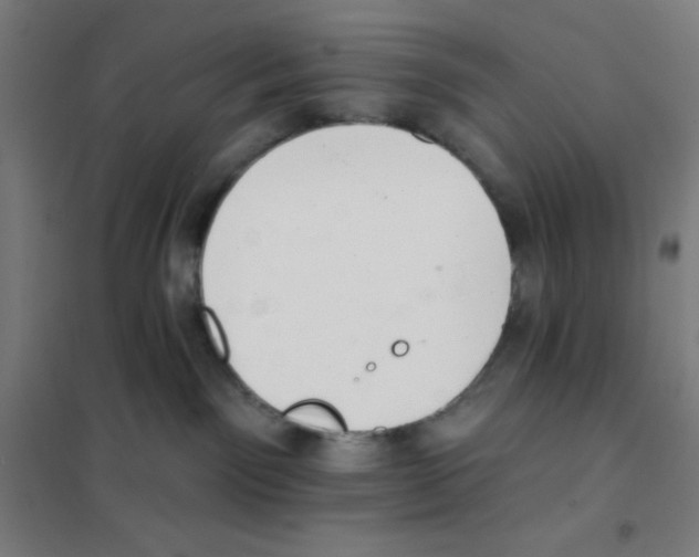 X0000101420141200808041137