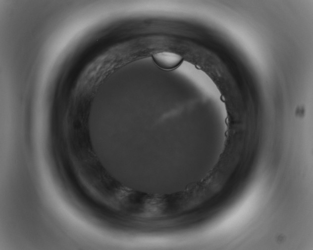 X0000101420143200808041137