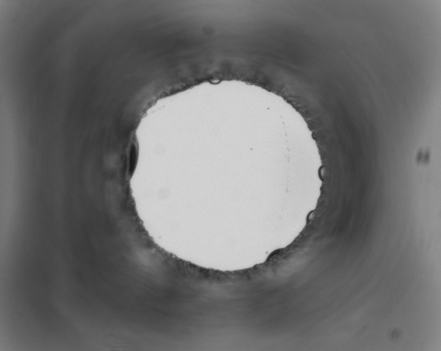 X0000101420144200808041137
