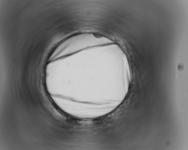 X0000101420145200808041136