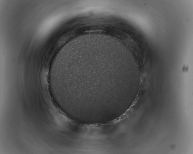 X0000101420146200808041136