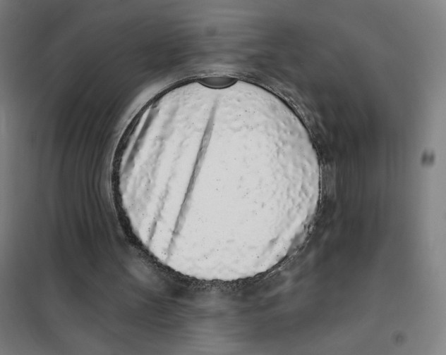 X0000101420147200808041136