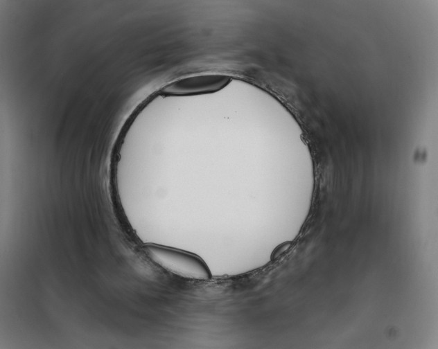 X0000101420148200808041136