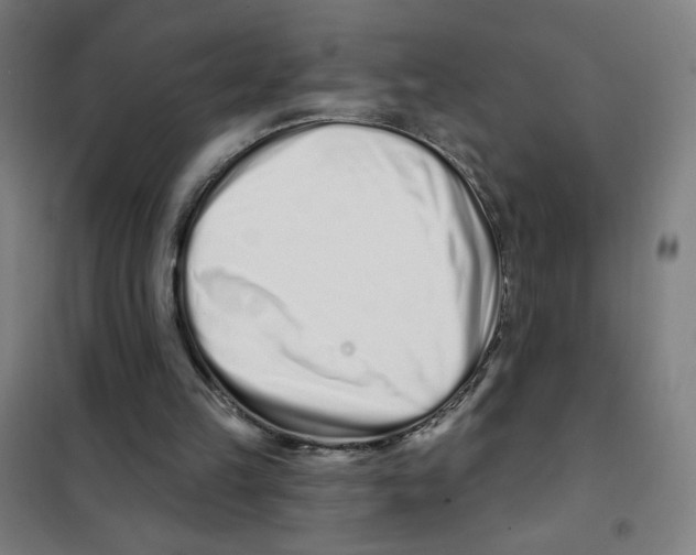 X0000101420149200808041136