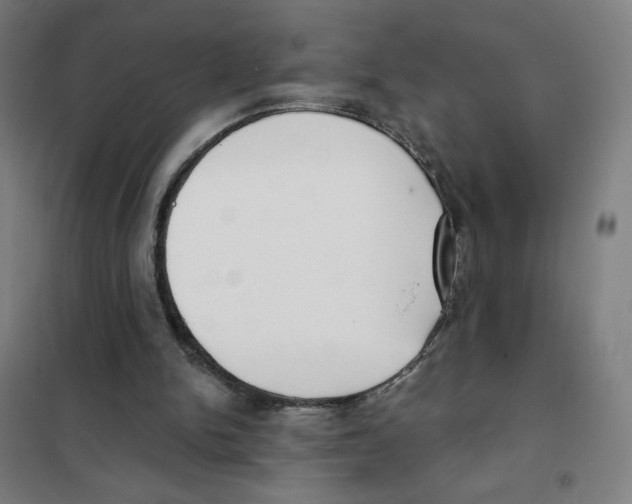 X0000101420150200808041136