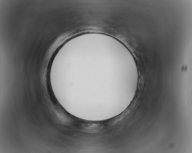 X0000101420151200808041136