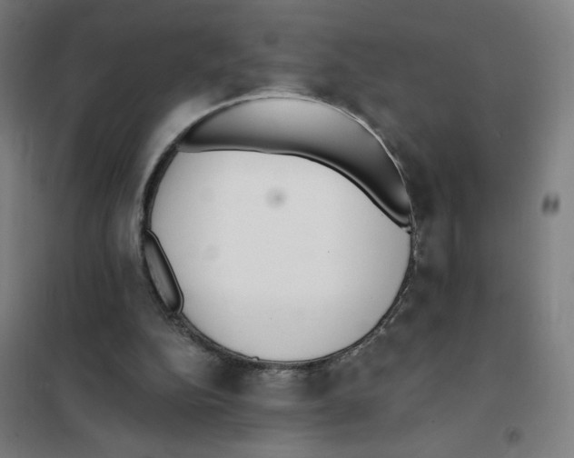 X0000101420152200808041136