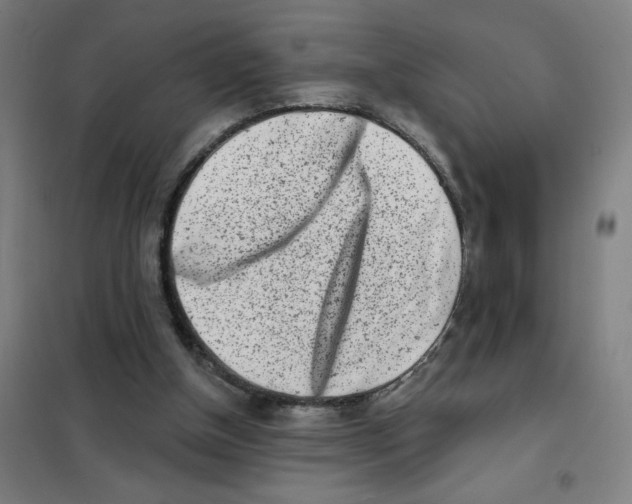 X0000101420154200808041136