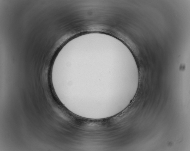 X0000101420155200808041136