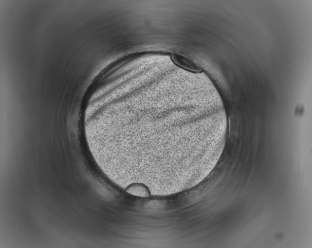 X0000101420156200808041136