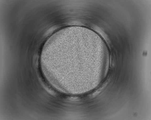 X0000101420157200808041136