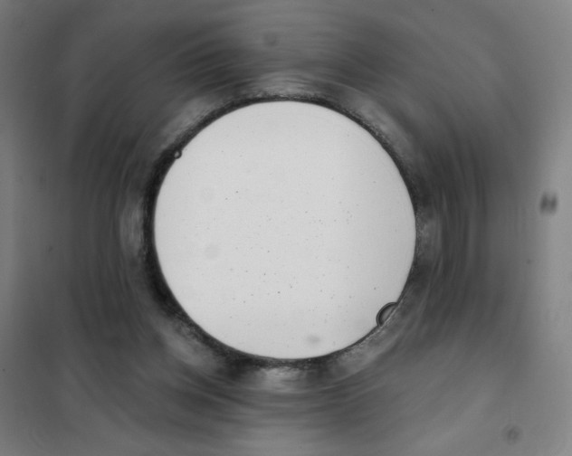X0000101420158200808041136