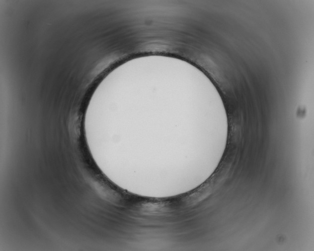 X0000101420160200808041136