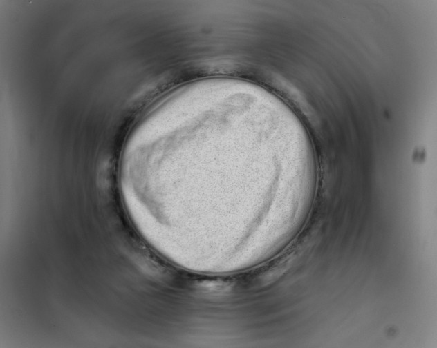 X0000101420161200808041136