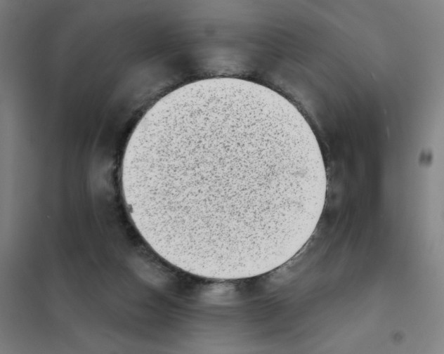 X0000101420162200808041136